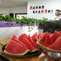 周末时刻来点下午茶，炎热的夏天小型密炼机专车专柜发货